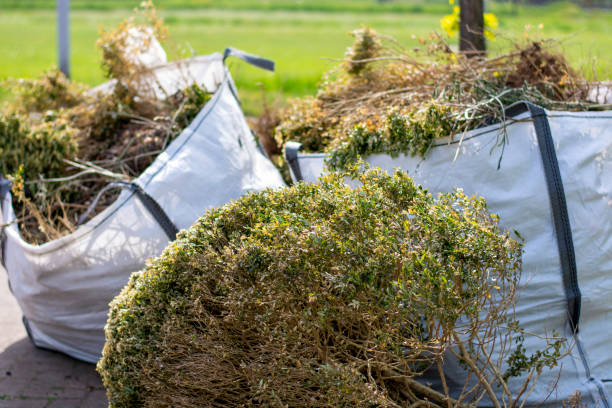 Best Yard Waste Removal  in Swartz, LA